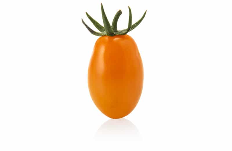 Orange datterino tomato