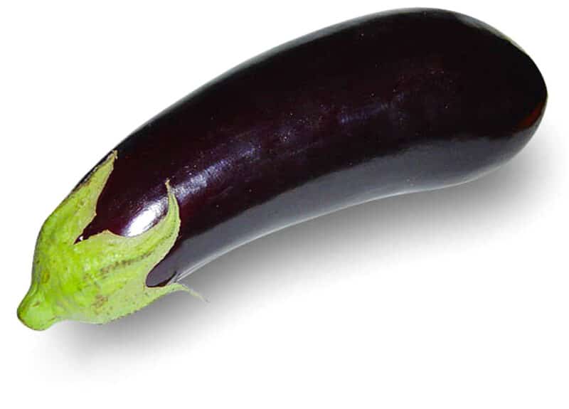 Long eggplant