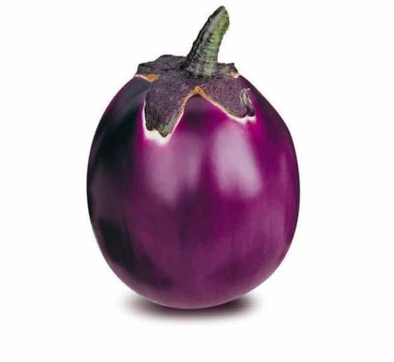 Purple eggplant