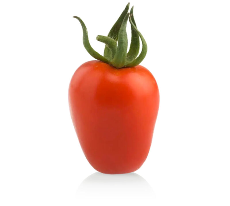 Piccadilly tomato