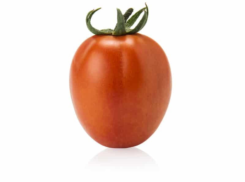 Copper red tomato