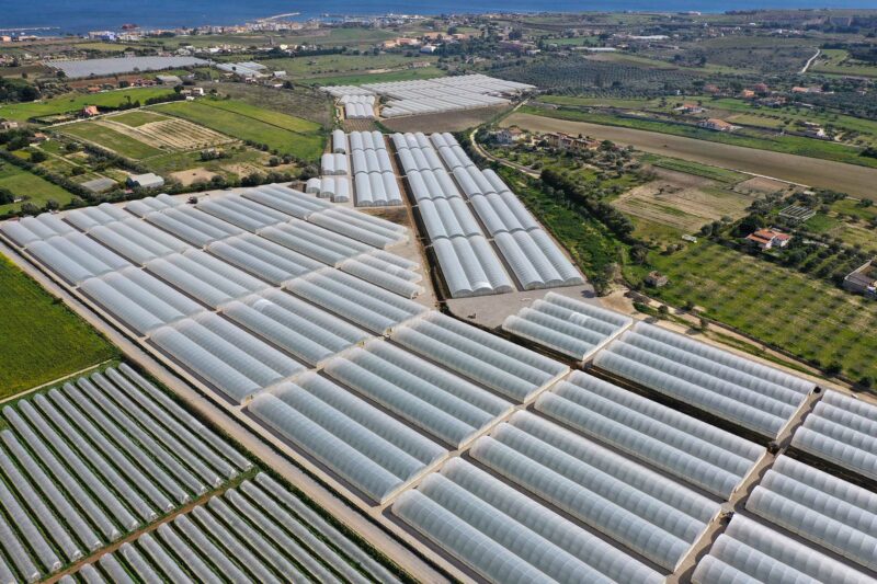 Moncada Greenhouses