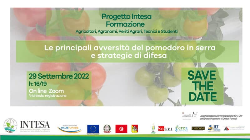 Formazione tecnica Progetto Intesa